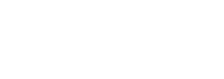 rarastek.store